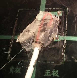 junction-box1